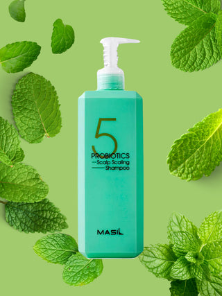 Masil 5 Probiotics Scalp Scaling Shampoo (MAXI)